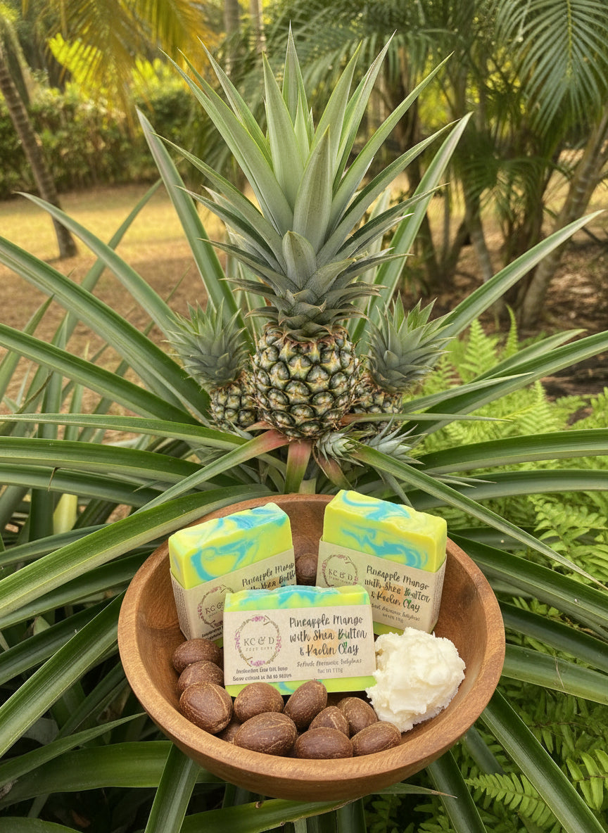 Fournisseur familiale BIO